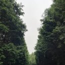 준호목장 이미지