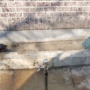 호산카센타 이미지