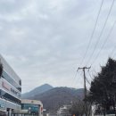 단종로9번길 21 네이버블로그