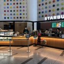 분당베스트병원 이미지