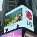 삼일약품교역(주) | 자사주 소각과 배당, 기업가치 제고의 새 흐름!