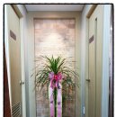 평화당한약국 이미지