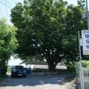 춘배농장 이미지