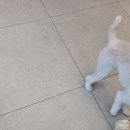 (주)마린숲 이미지