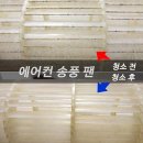 에코홈케어