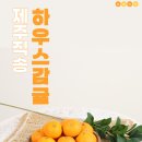 영희네 감귤농장