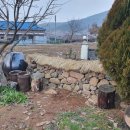 돌담농장 이미지