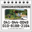 청양고추랜드농업회사법인주식회사 | 청양고추장부터 된장까지, 믿고 먹는 전통 장류는 청양고추랜드에서!