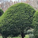 아가페식당 이미지