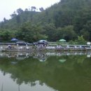 동산낚시터 이미지