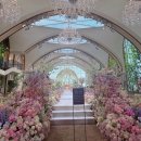 더모먼트플라워 | 코드,짝꿍 할인│[지조비주얼,화이트모티브,레미니스필름,하이라이트,르랑,스냅온아,더모먼트,러브드원]