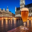 밤마리권역 | 벨기에 10박 11일 완벽 여행 코스: 브뤼셀부터 겐트까지 직접 다녀온 핵심 후기