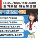 민족 태권도 이미지