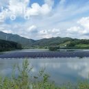 양명농장 이미지