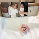 비누꽃으로만드는세상 | 세상에 하나뿐인 오브제, 탯줄 베어브릭 제작 후기