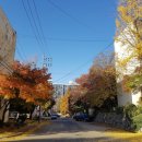 6단지사거리(6단지) 이미지