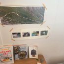 러브얼스 이미지