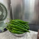 엄마 옛날칼국수 | 서문시장 칼국수 인생칼국수를 만나다 엄마칼국수 솔직후기