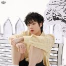 Strange World 이미지