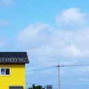 나무앤씨 키즈 이미지