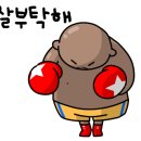 다이나복싱체육관 이미지