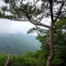 '26.08.01. 낙조대 특별산행 후기 이미지