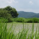 명심보감 이미지