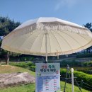 설성농업협동조합 | [음성 가볼만한곳] 음성품바축제+건강나눔체험관 후기, 주차안내