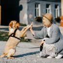 히히 그루밍 이미지