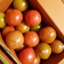 후계자 농장 이미지