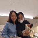 둥지조산원 이미지