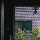 디아이엠(DIM) 이미지