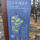 솔경주 이미지