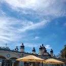 (주)판다 | 환상의 나라 에버랜드🎡✨️ (feat.판다월드 아이바오,러바오,루이후이)