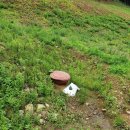 농막목장 이미지