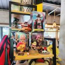 콩드립로스터스 이미지