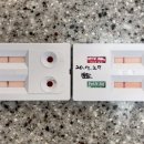 용산종합동물병원 이미지