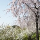 반월놀이공원 이미지