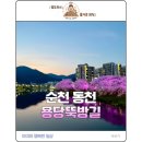 용당아파트 1동 옆 | [순천 나들이] 팝콘 폭발! 순천 동천 용당뚝방길 벚꽃 개화 실시간 현황(벚꽃축제 장소), 지금 당장...
