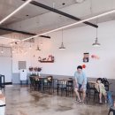 헬로퍼피1 이미지