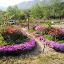 한창농장 이미지