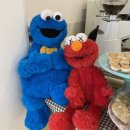 라이블리(Lively) 이미지