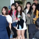 프로미스나인 카카오 검색결과