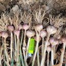 귀동농장 이미지