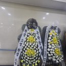 원경 소영 원정 이미지