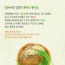 본량어린이집 이미지