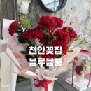 동심유치원 | 천안꽃집 블루블룸 카네이션 후기