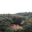 통영조선호텔 | 통영 한산도 배편 여객선터미널에서 가는방법 당일치기 뚜벅이여행