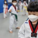 국가대표파주태권도장 이미지
