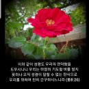 샬롬 이미지